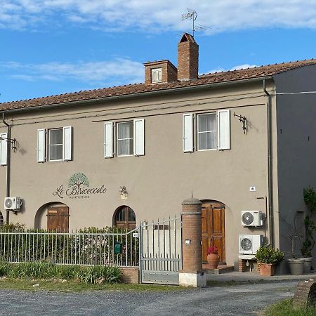 Agriturismo Le Biricoccole Vada Exteriör bild