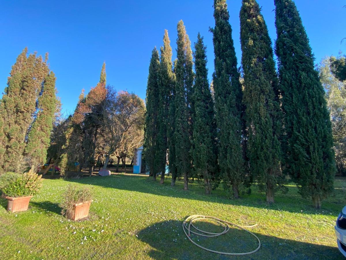 Agriturismo Le Biricoccole Vada Exteriör bild