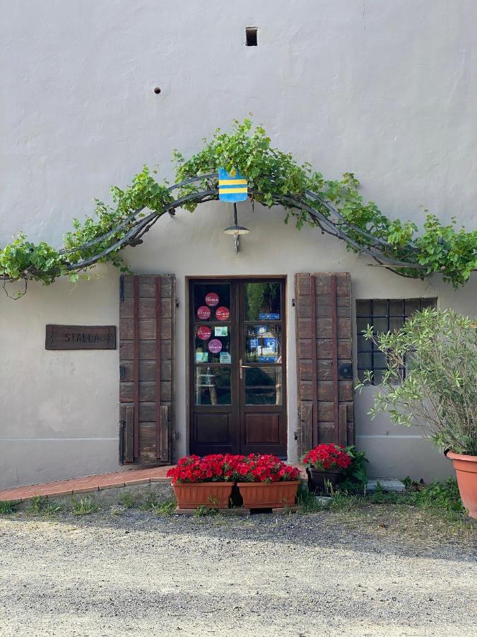 Agriturismo Le Biricoccole Vada Exteriör bild
